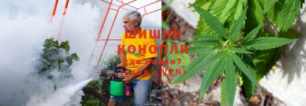 ALPHA PVP Богородицк