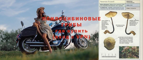 МДПВ Богданович