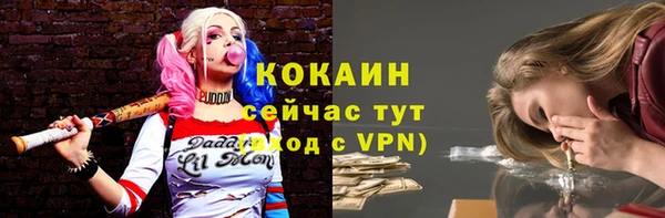 ALPHA PVP Богородицк