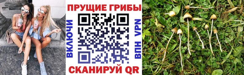 Псилоцибиновые грибы MAGIC MUSHROOMS  купить   Верхняя Тура 